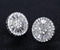 Baguette 18K White Gold Plated Round Cut Cubic Zircon Men Women Cluster Earrings